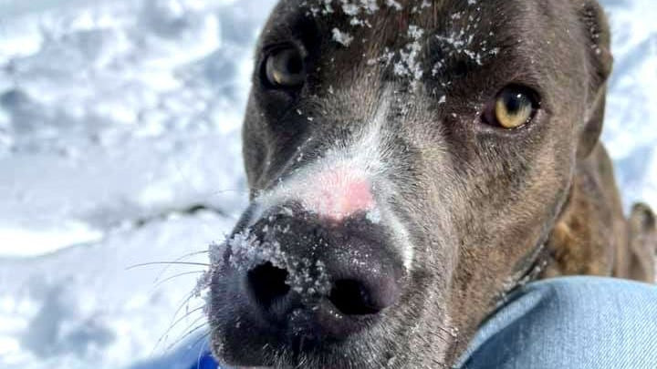 A Special Weekly Edition Of The Saturday Six: Six Ways To Help In Texas