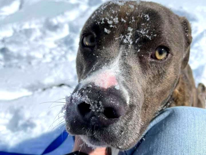 A Special Weekly Edition Of The Saturday Six: Six Ways To Help In Texas