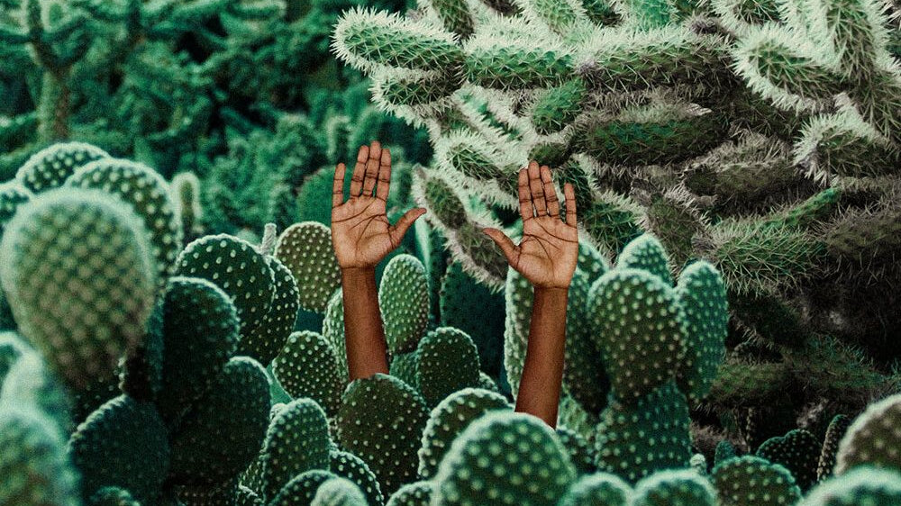 The Saturday Six 143