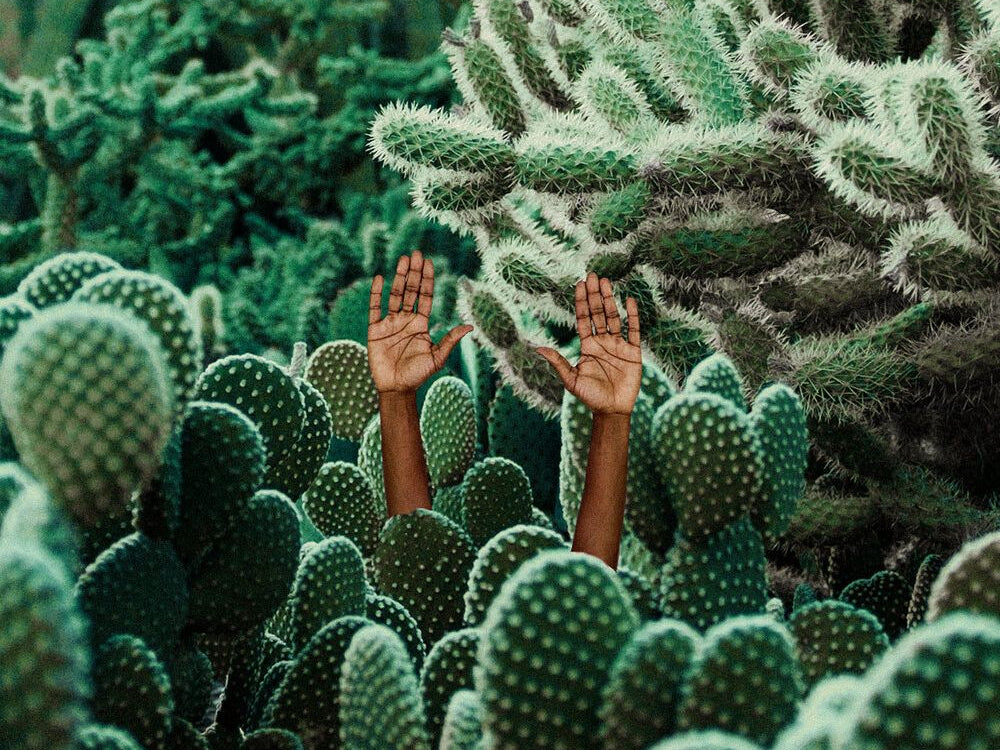 The Saturday Six 143