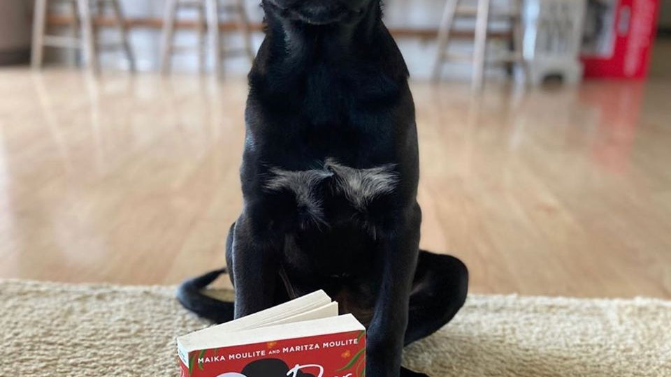 Listen. Educate. Donate.