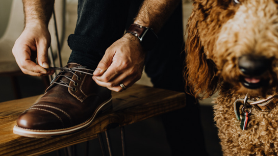 HELM shoes and a dog