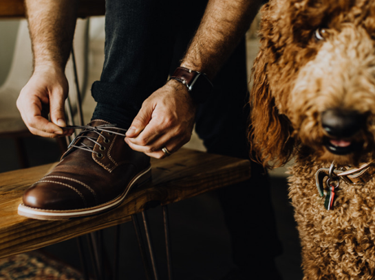 HELM shoes and a dog