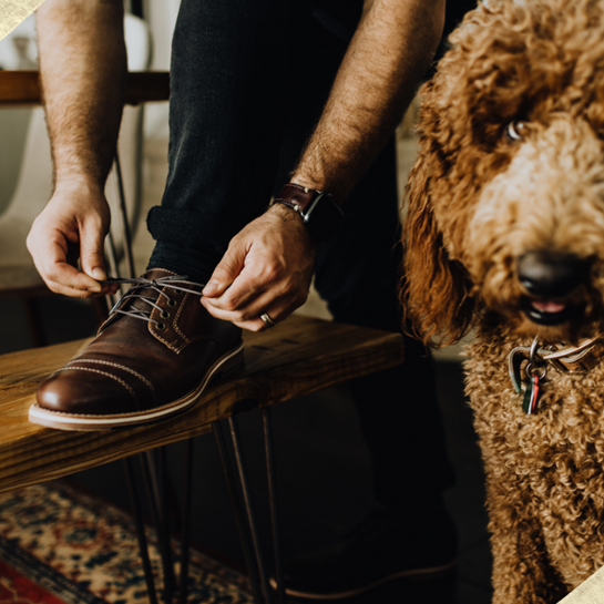 HELM shoes and a dog