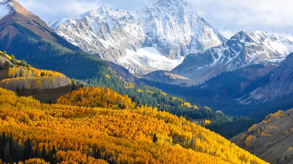 Saturday Six LXXXXIV