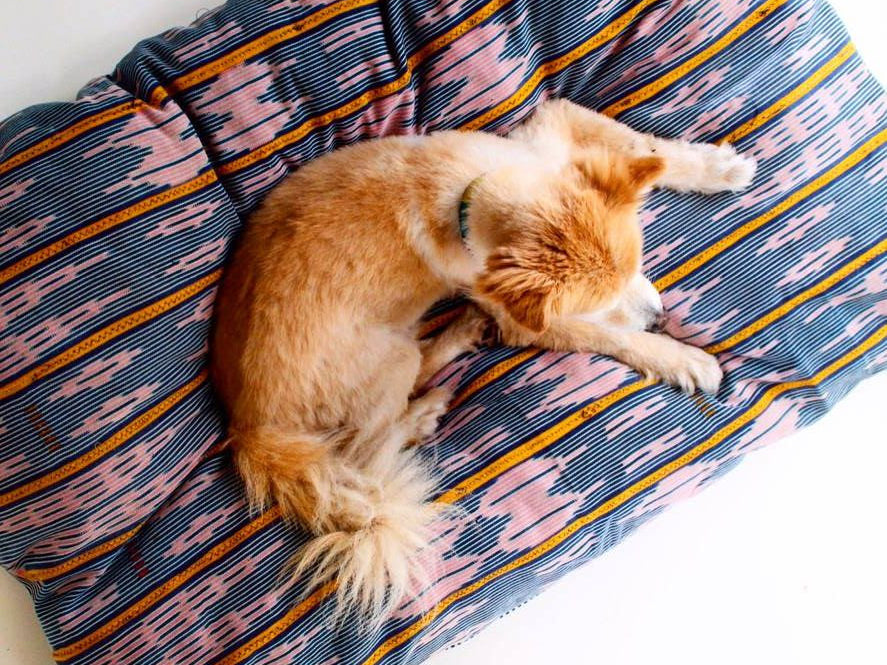 This is the Saturday Six: Independent Business Edition