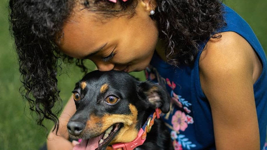 The Saturday Six 142